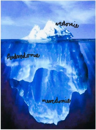 psychoterapia